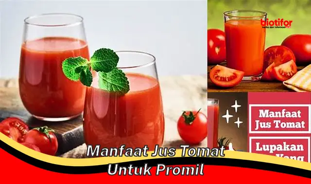 5 Manfaat Jus Tomat untuk Program Hamil yang Jarang Diketahui