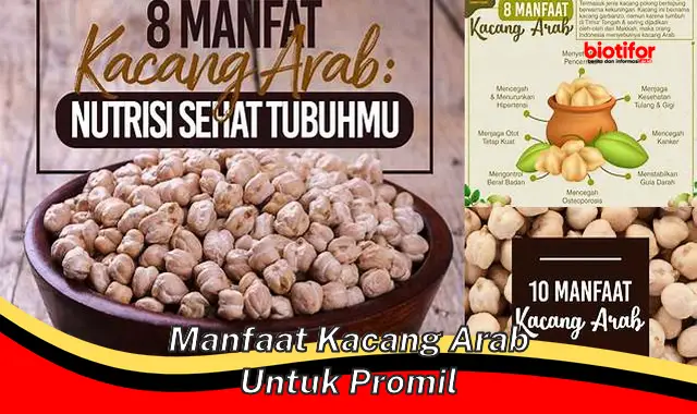 Temukan Manfaat Kacang Arab untuk Promil yang Jarang Diketahui