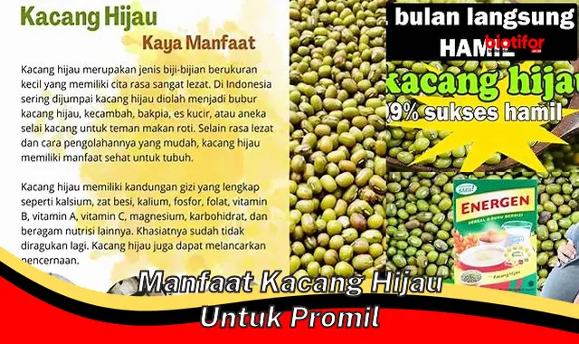 Temukan Manfaat Tersembunyi Kacang Hijau untuk Promil