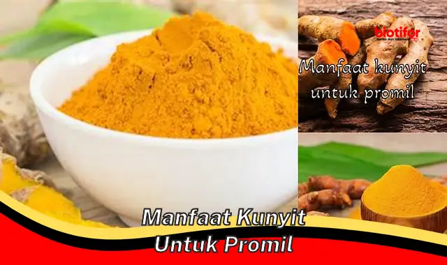 Manfaat Kunyit untuk Promil: 5 Temuan Penting yang Jarang Diketahui