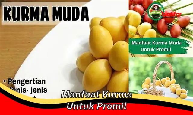 Temukan Manfaat Kurma Untuk Promil Yang Perlu Anda Tahu!