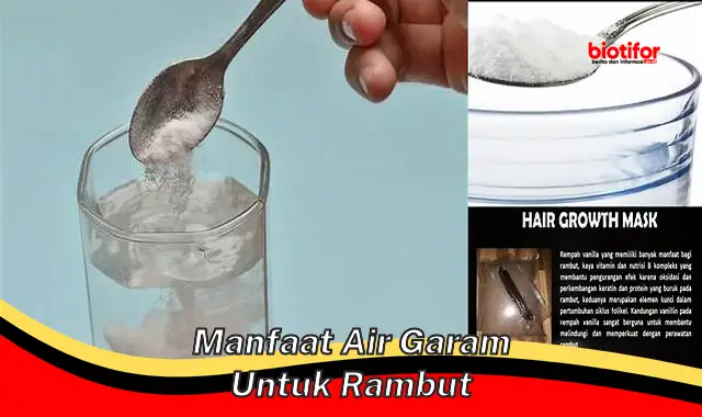 Temukan 5 Manfaat Air Garam untuk Rambut yang Belum Banyak Diketahui