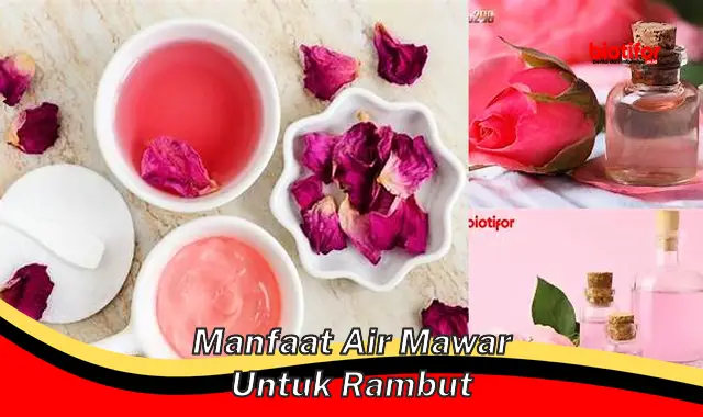 Temukan Manfaat Air Mawar untuk Rambut yang Jarang Diketahui