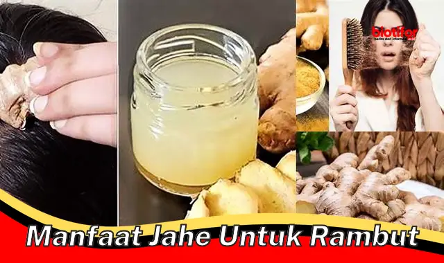 Temukan Manfaat Jahe untuk Rambut yang Jarang Diketahui