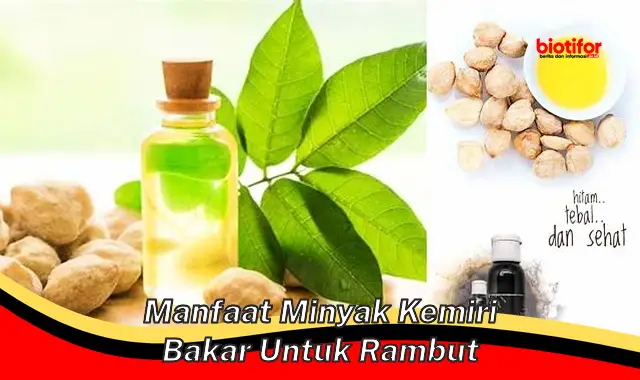 Temukan Manfaat Minyak Kemiri Bakar untuk Rambut yang Perlu Kamu Tahu