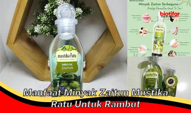 Temukan Manfaat Minyak Zaitun Mustika Ratu untuk Rambut yang Jarang Diketahui