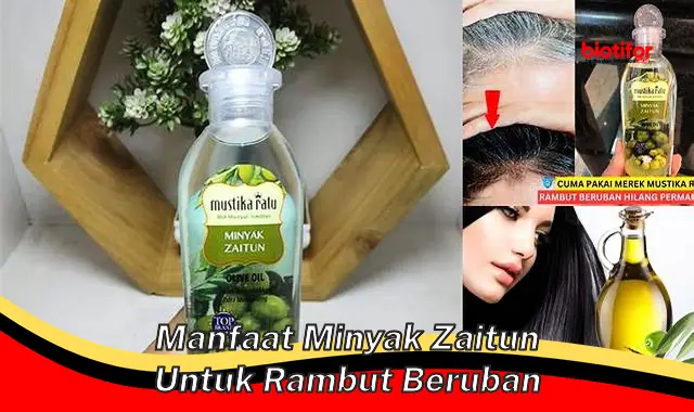 Temukan 5 Manfaat Minyak Zaitun untuk Rambut Beruban yang Jarang Diketahui