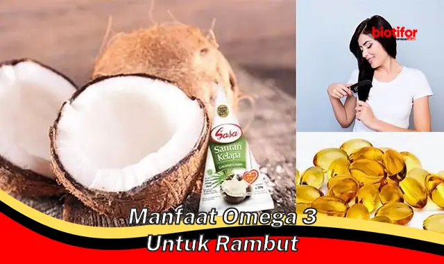 Temukan Rahasia Omega 3 Untuk Rambut Anda