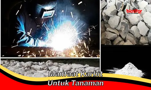 Temukan Rahasia Manfaat Karbit untuk Tanaman yang Jarang Diketahui