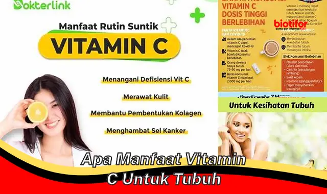 Temukan Manfaat Vitamin C yang Jarang Diketahui untuk Tubuh