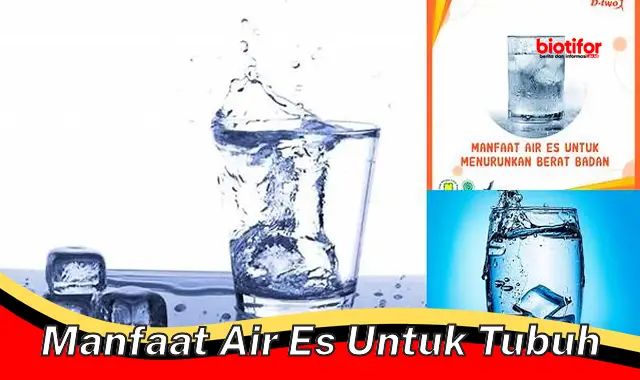 Temukan Manfaat Air Es untuk Tubuh yang Jarang Diketahui