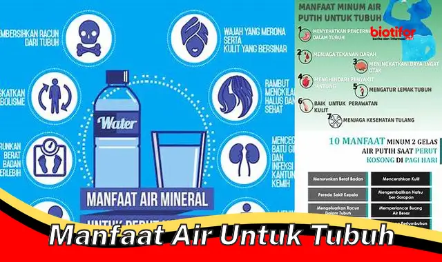 Temukan Manfaat Air untuk Tubuh yang Jarang Diketahui