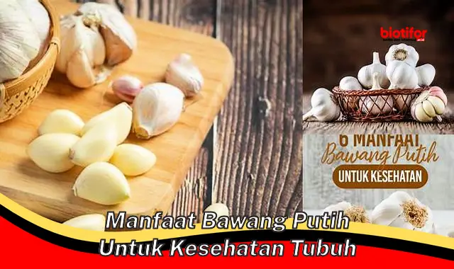 5 Manfaat Bawang Putih untuk Kesehatan Tubuh yang Jarang Diketahui