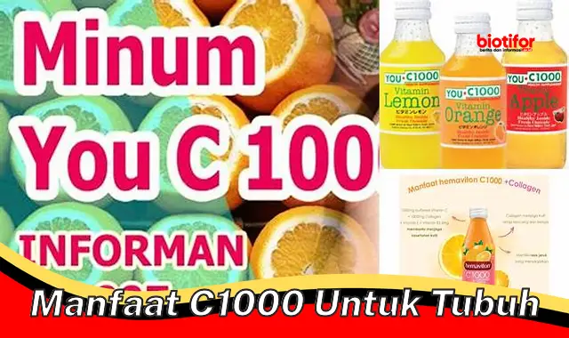 Temukan 5 Manfaat C1000 untuk Tubuh yang Jarang Diketahui