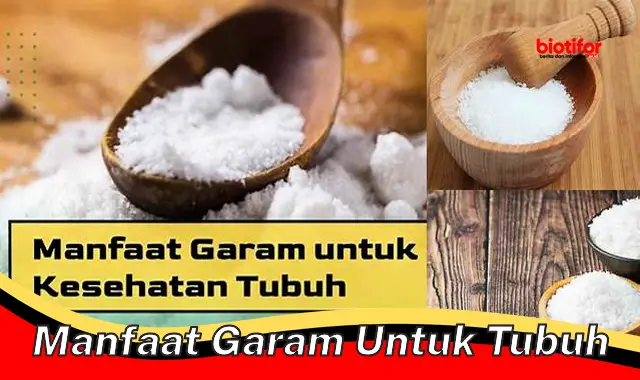 Temukan 5 Manfaat Garam untuk Tubuh yang Jarang Diketahui