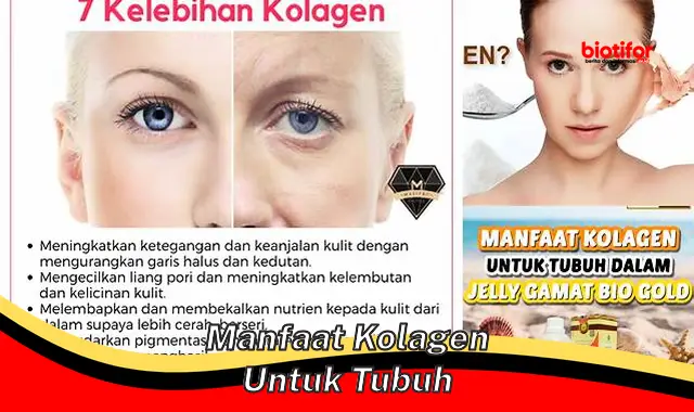 Temukan Manfaat Kolagen untuk Tubuh, Yang Jarang Diketahui!