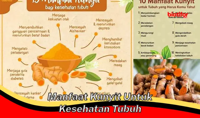 Temukan Manfaat Kunyit untuk Kesehatan Tubuh yang Jarang Diketahui