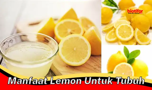 Temukan Manfaat Lemon untuk Tubuh yang Jarang Diketahui