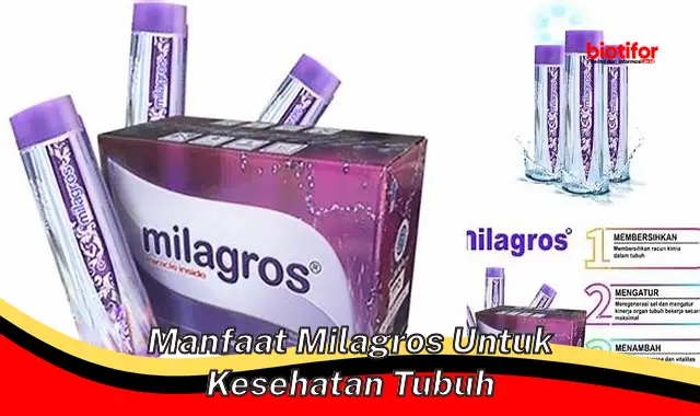 Ungkap Manfaat Milagros untuk Kesehatan Tubuh, Jarang Diketahui!