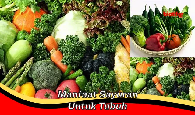 Temukan Manfaat Sayuran yang Belum Diketahui untuk Tubuh Anda