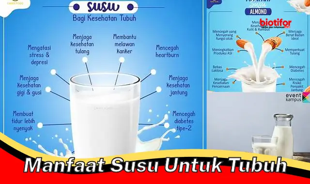 Temukan Rahasia Susu yang Jarang Diketahui, untuk Tubuh Lebih Sehat!