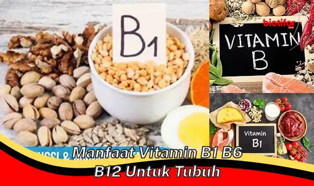 Temukan Manfaat Vitamin B1 B6 B12 untuk Tubuh yang Jarang Diketahui