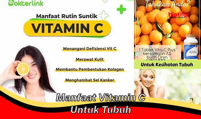 Temukan Manfaat Vitamin C untuk Tubuh yang Jarang Diketahui