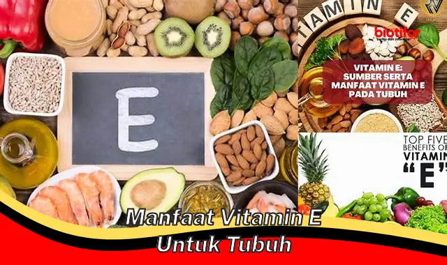 Temukan Manfaat Vitamin E yang Jarang Diketahui untuk Kesehatan Tubuh Anda