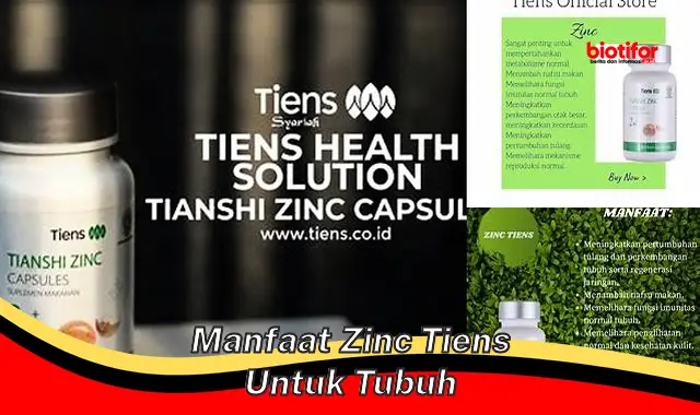 Temukan Manfaat Zinc Tiens untuk Tubuh yang Jarang Diketahui