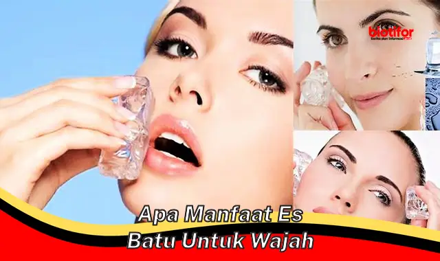 Temukan Manfaat Batu Es untuk Wajah yang Jarang Diketahui