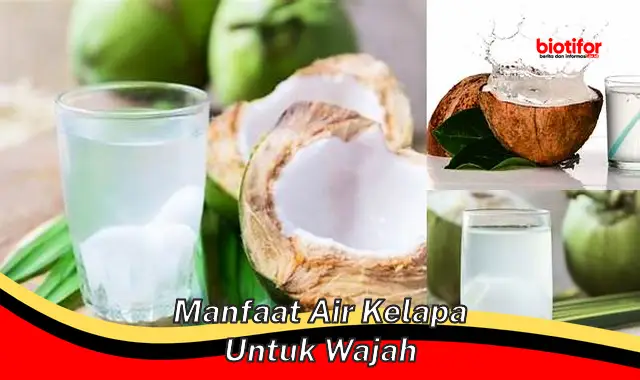 Temukan Manfaat Air Kelapa untuk Wajah yang Belum Diketahui