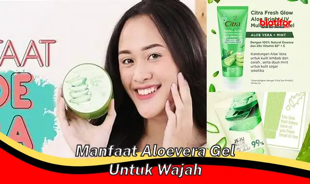 manfaat aloevera gel untuk wajah manfaat aloevera gel untuk wajah