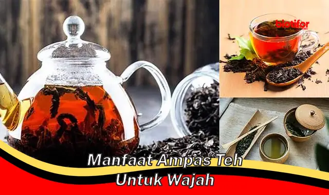 Temukan Manfaat Ampas Teh untuk Wajah yang Jarang Diketahui