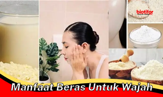 Manfaat Beras Untuk Wajah yang Perlu Anda Tahu