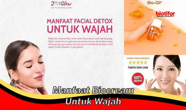 manfaat biocream untuk wajah manfaat biocream untuk wajah