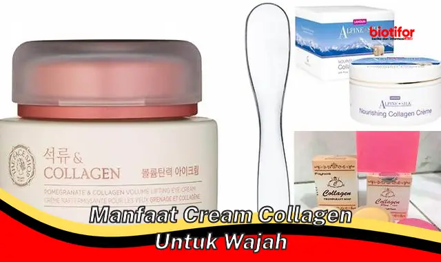 Temukan Manfaat Cream Collagen untuk Wajah yang Jarang Diketahui