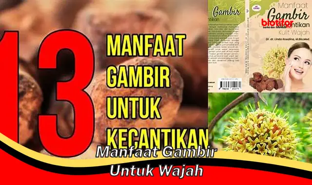 Temukan Segudang Manfaat Gambir untuk Wajah yang Jarang Diketahui