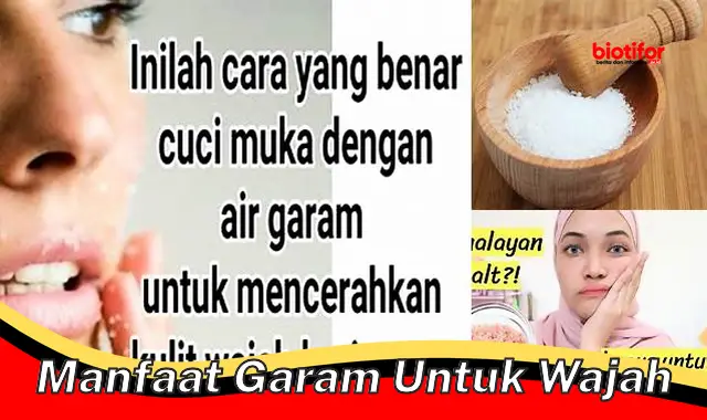 manfaat garam untuk wajah manfaat garam untuk wajah