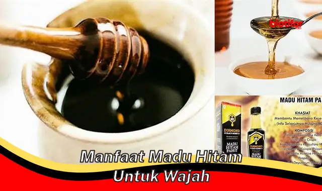 Temukan Manfaat Madu Hitam untuk Wajah yang Wajib Diketahui