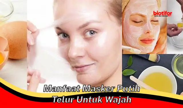 Temukan Manfaat Masker Putih Telur untuk Wajah yang Jarang Diketahui