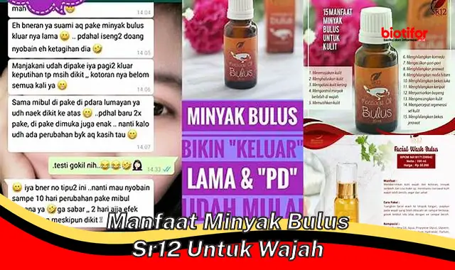 Temukan Manfaat Minyak Bulus SR12 untuk Wajah yang Jarang Diketahui