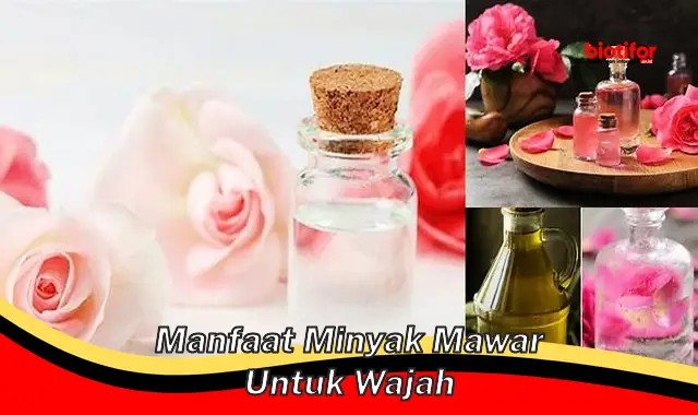 Temukan Manfaat Minyak Mawar untuk Wajah yang Jarang Diketahui