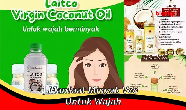manfaat minyak vco untuk wajah manfaat minyak vco untuk wajah