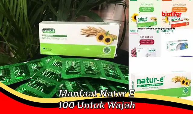 Ungkap Manfaat Natur E 100 untuk Wajah yang Jarang Diketahui