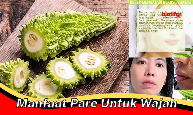 Temukan 5 Manfaat Pare untuk Wajah yang Belum Diketahui