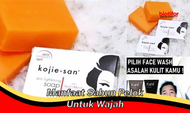 Temukan Manfaat Sabun Pelok untuk Wajah yang Belum Diketahui