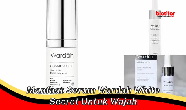 Temukan Manfaat Serum Wardah White Secret untuk Wajah yang Jarang Diketahui