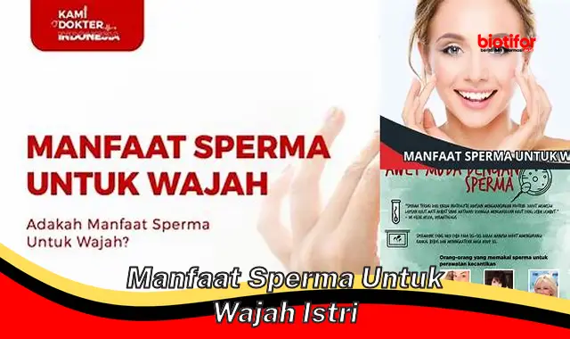 Temukan Rahasia Sperma untuk Kecantikan Wajah Istri yang Jarang Diketahui