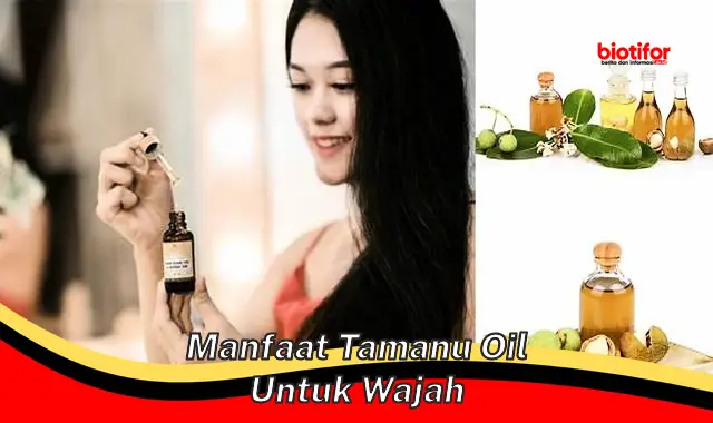 Temukan Manfaat Minyak Tamanu untuk Wajah yang Jarang Diketahui