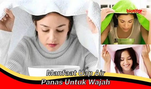 Temukan 5 Manfaat Uap Air Panas untuk Wajah yang Jarang Diketahui!